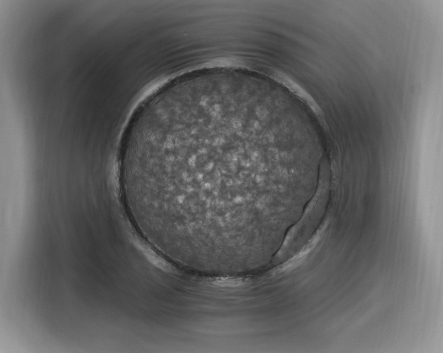 X0000116021029200911271112