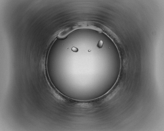 X0000116021033200911271112