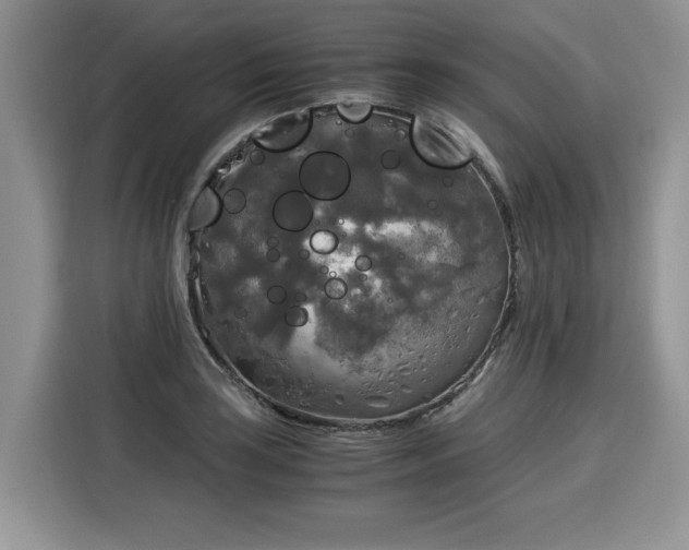 X0000116021035200911271112