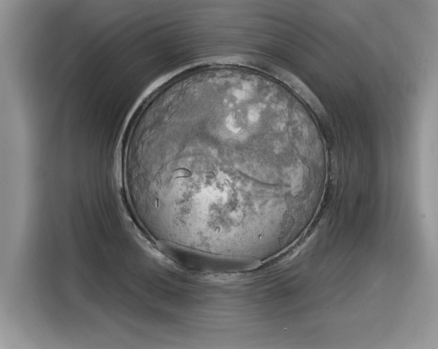 X0000116021036200911271112