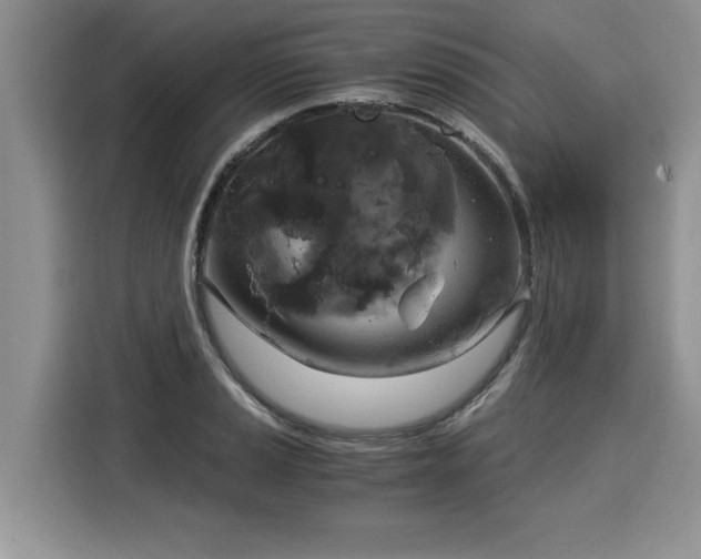 X0000116021037200911271112