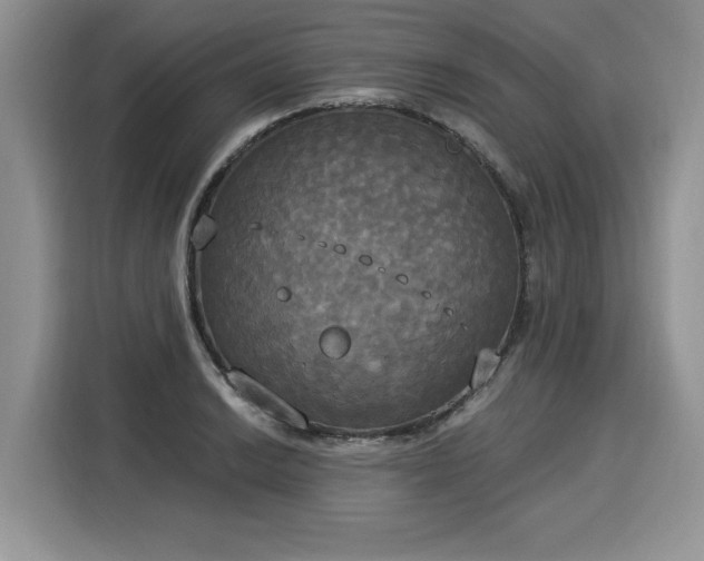 X0000116021038200911271112