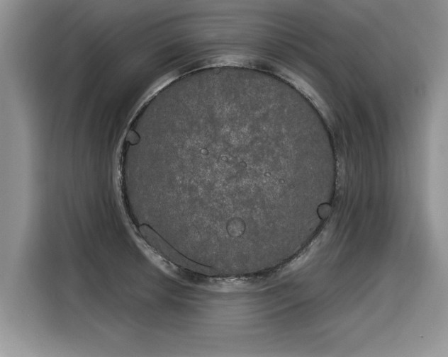 X0000116021042200911271112