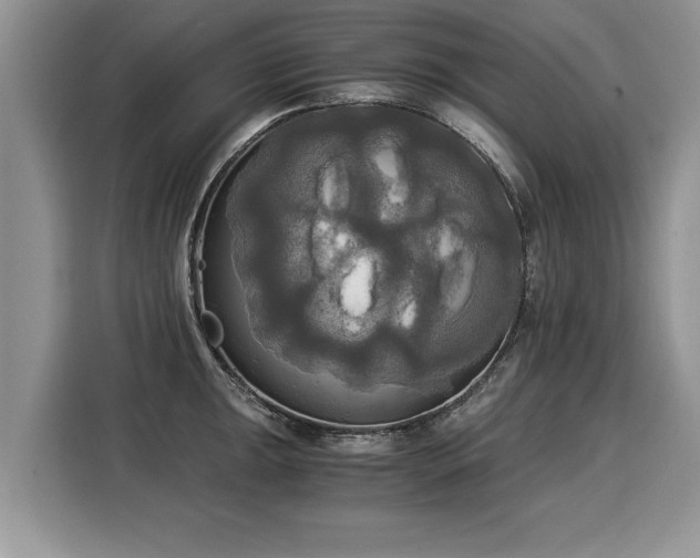 X0000116021047200911271112