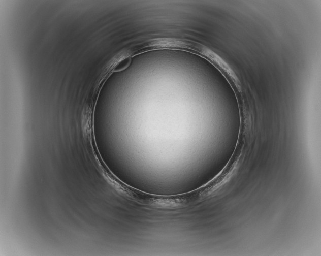 X0000116021049200911271112