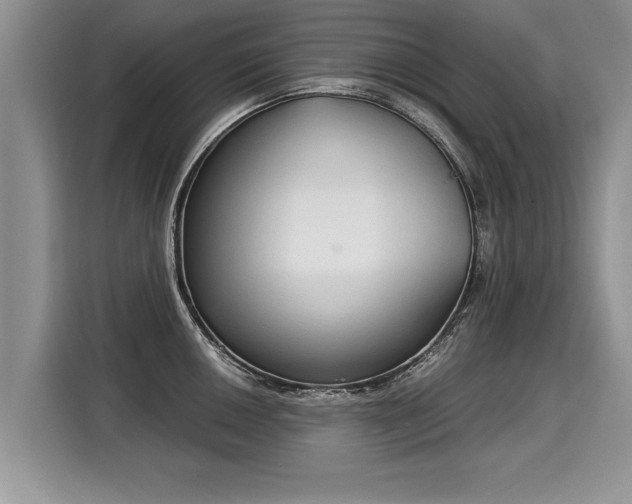 X0000116021050200911271112