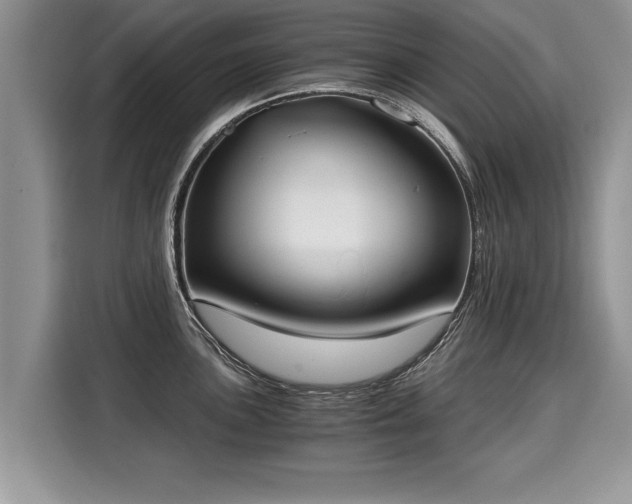 X0000116021051200911271112