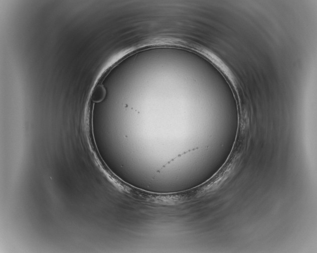 X0000116021053200911271112