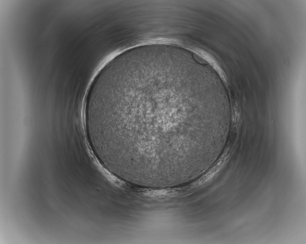 X0000116021054200911271112