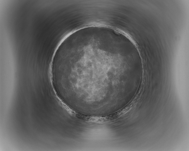 X0000116021056200911271112