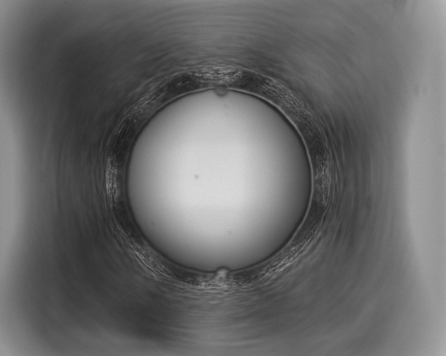 X0000116021058200911271111