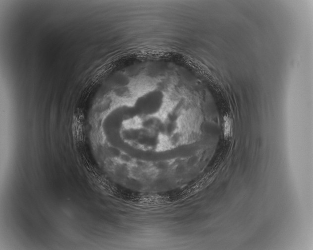 X0000116021059200911271111