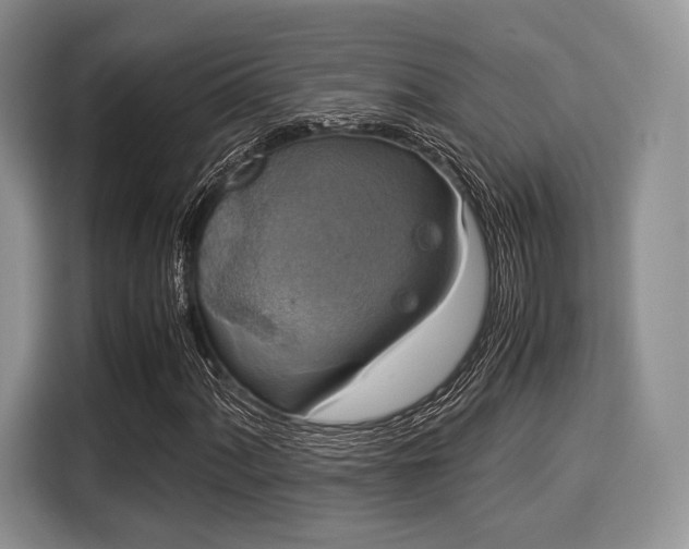 X0000116021060200911271111