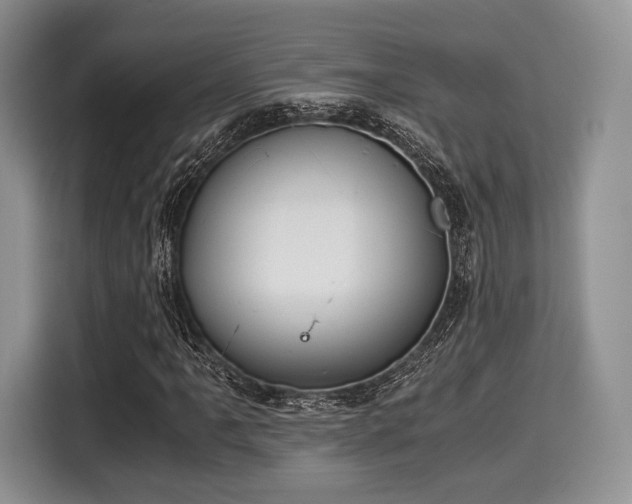 X0000116021061200911271111