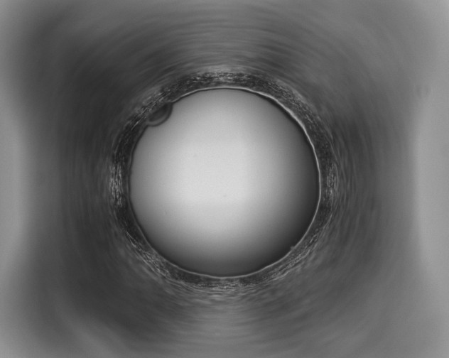 X0000116021062200911271111