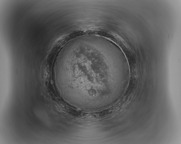 X0000116021063200911271111