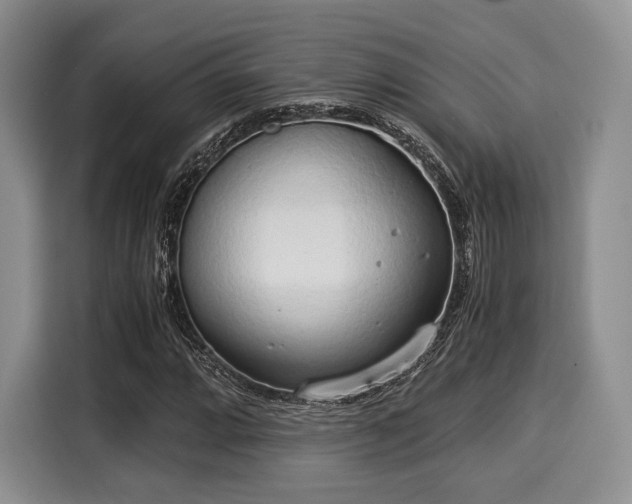 X0000116021064200911271111