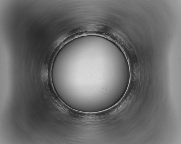 X0000116021065200911271111