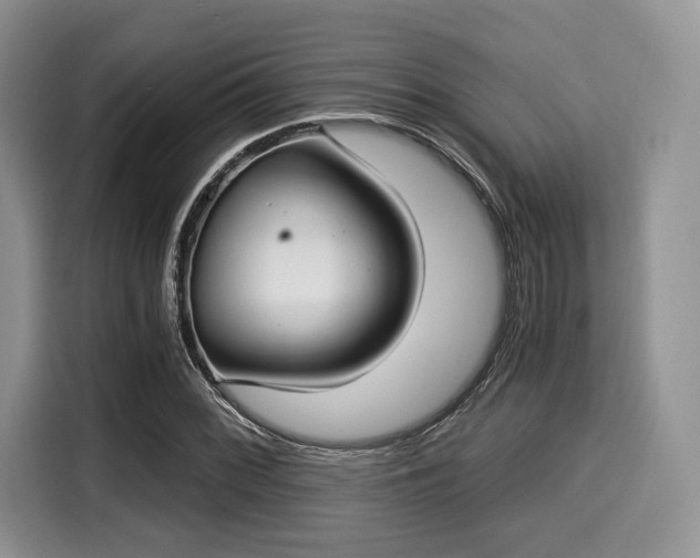 X0000116021068200911271111