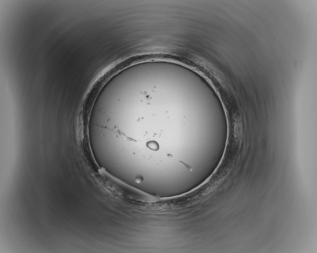 X0000116021069200911271111