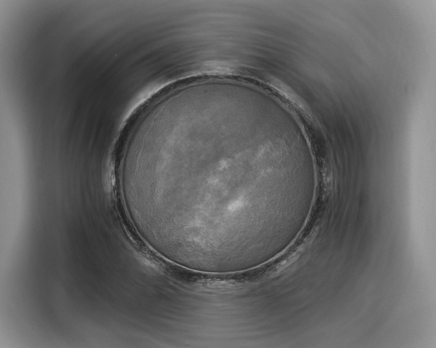 X0000116021070200911271111