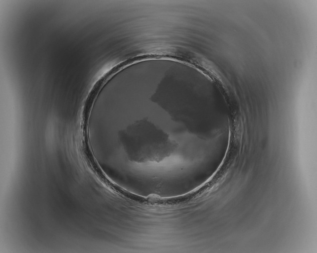 X0000116021071200911271111