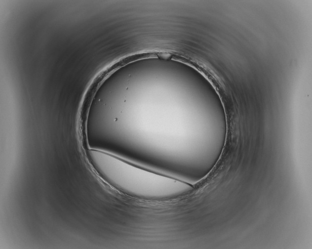 X0000116021072200911271111