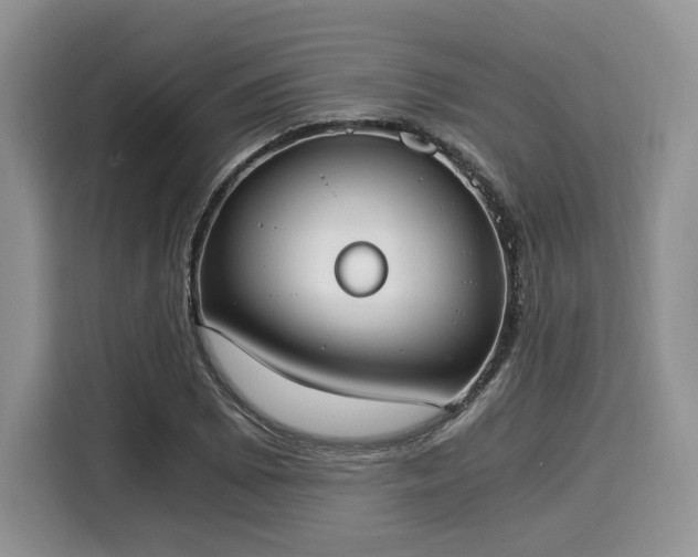 X0000116021073200911271111