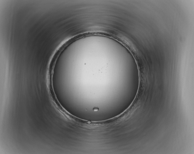 X0000116021076200911271111