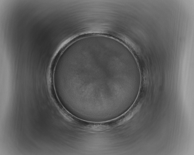 X0000116021077200911271111