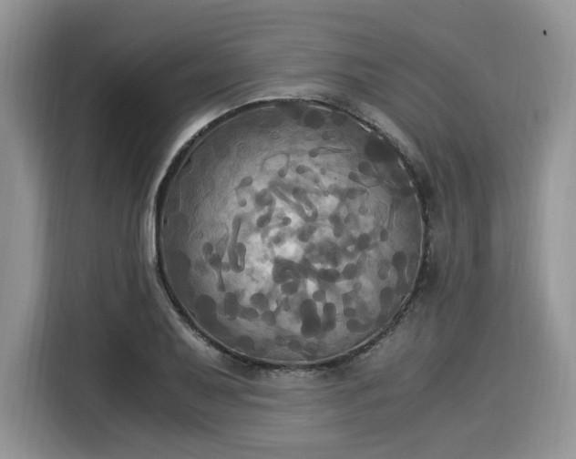 X0000116021079200911271111