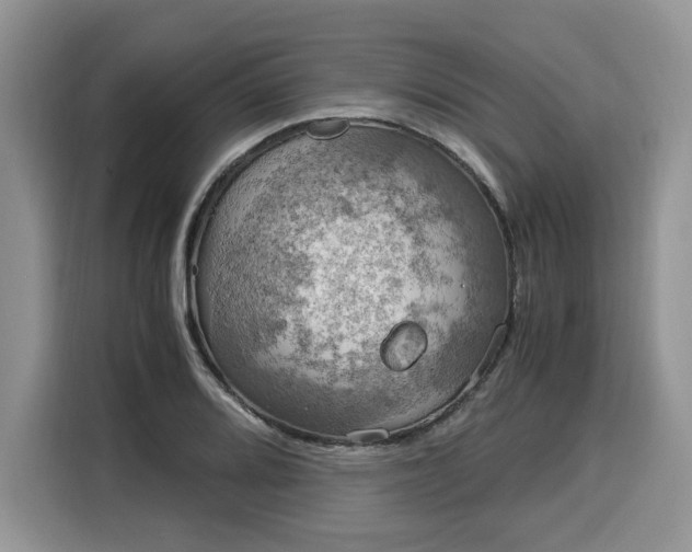 X0000116021080200911271111