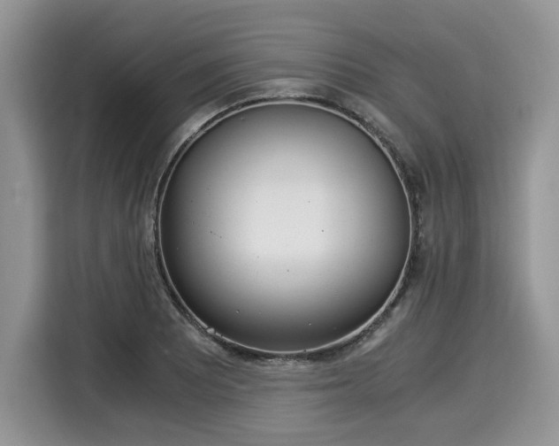 X0000116021081200911271111