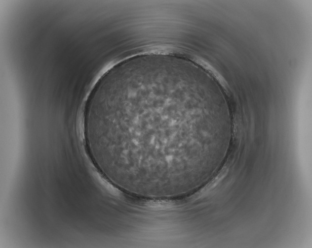 X0000116021083200911271111