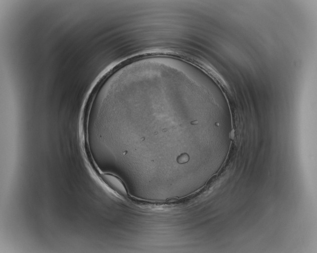 X0000116021084200911271111