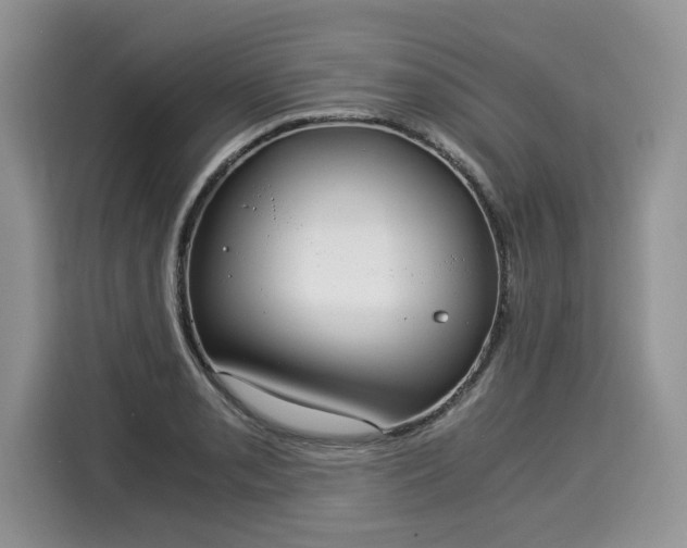 X0000116021085200911271111