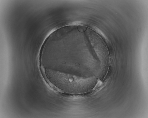 X0000116021087200911271111