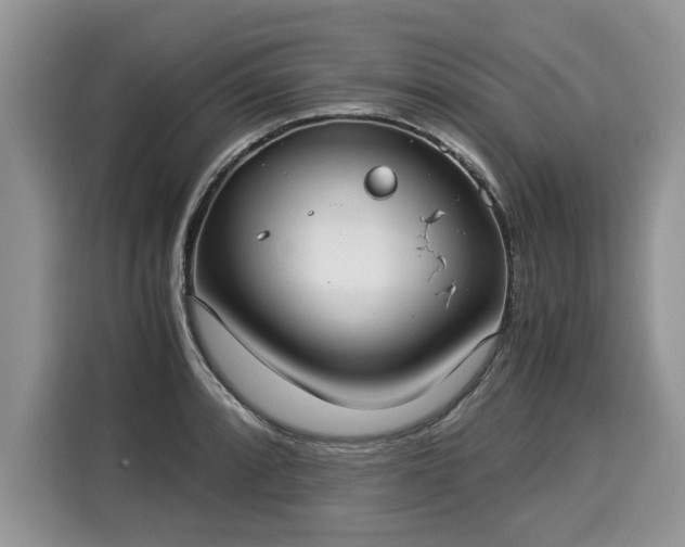 X0000116021088200911271111