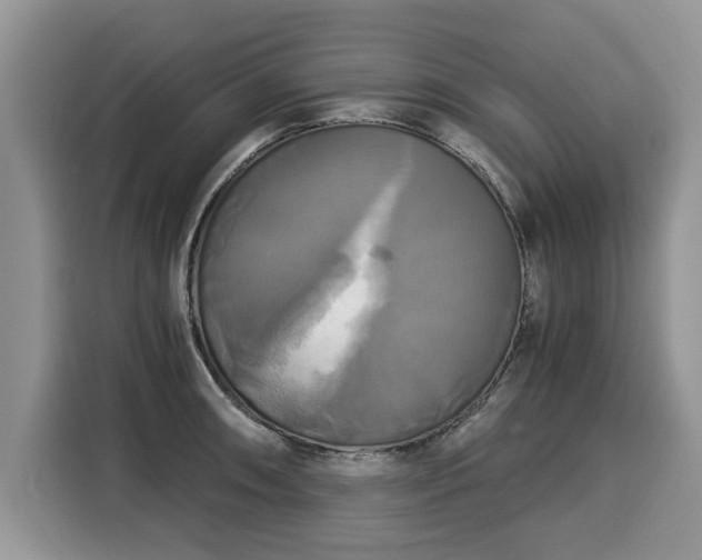 X0000116021090200911271111