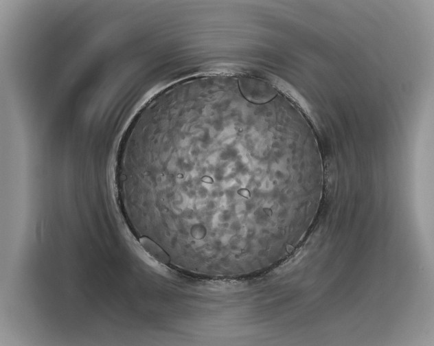 X0000116021091200911271111