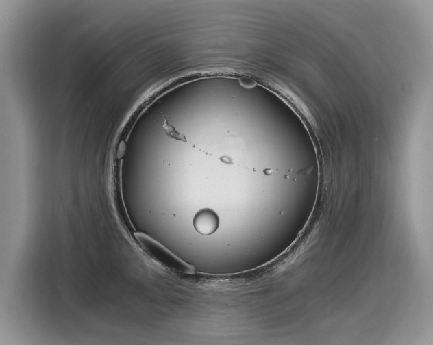 X0000116021093200911271111