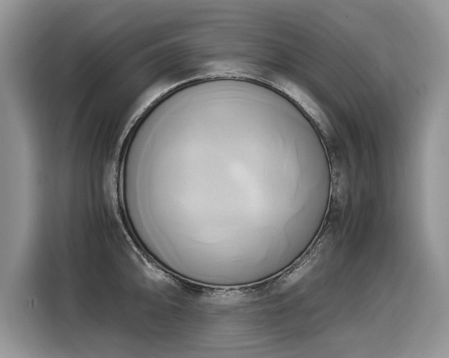 X0000116021094200911271111