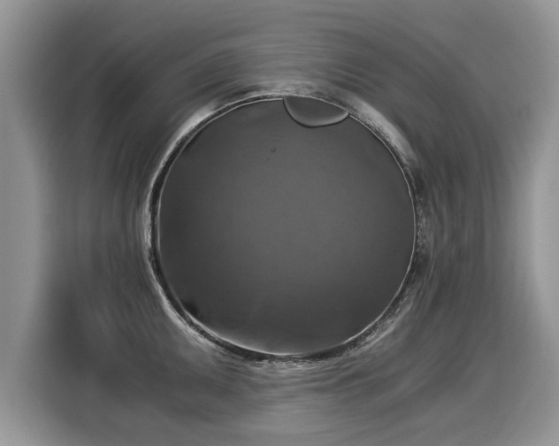 X0000116021095200911271111