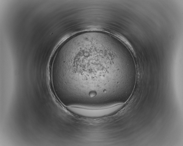 X0000116021096200911271111