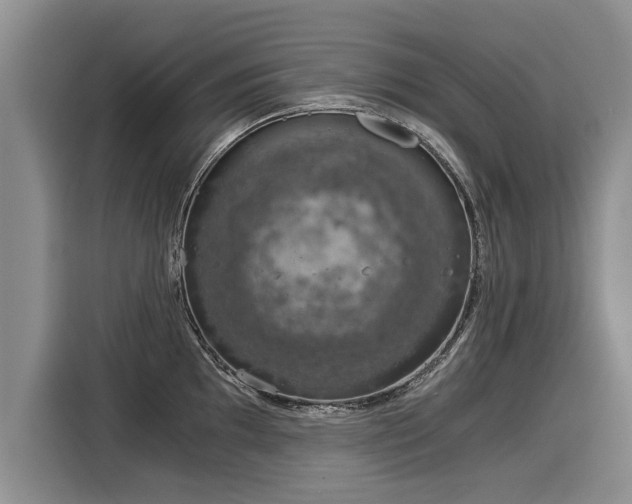 X0000116021097200911271111