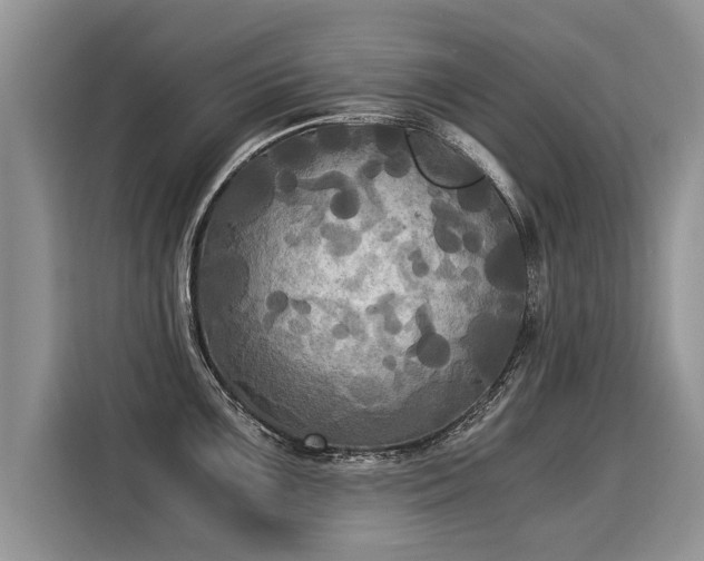 X0000116021099200911271111