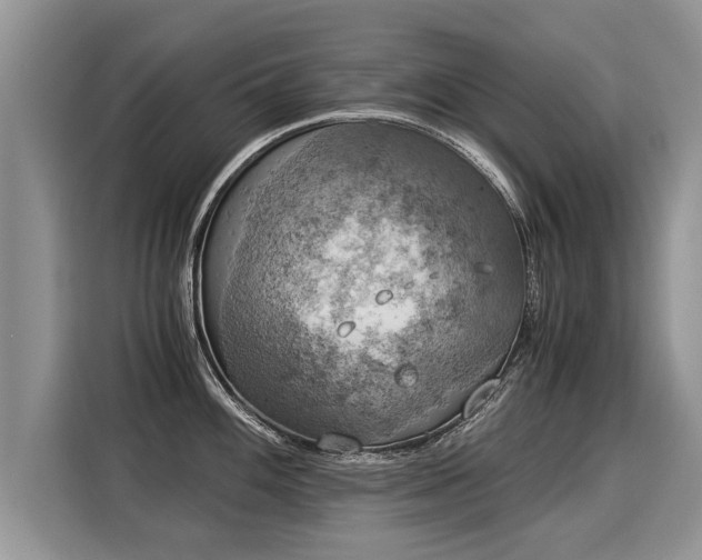 X0000116021100200911271111