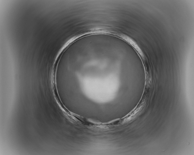 X0000116021101200911271111