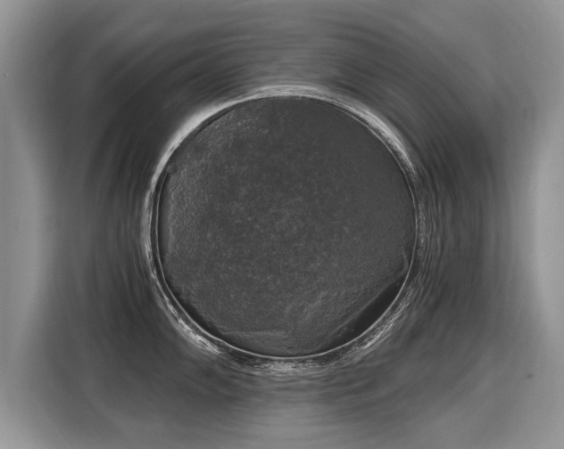 X0000116021102200911271111