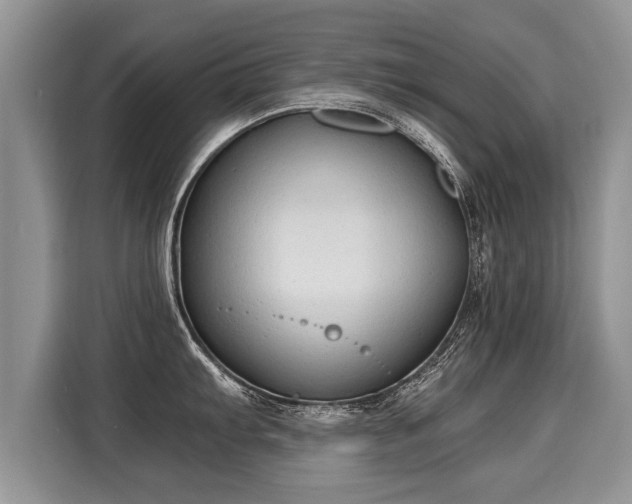 X0000116021103200911271111